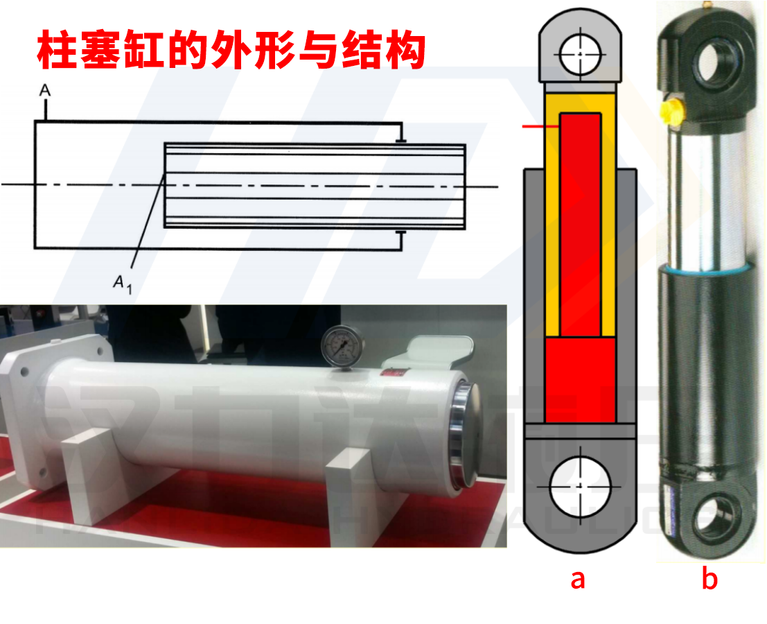 1617678951326726.png 柱塞缸的外形與結(jié)構(gòu)漢力達(dá).png